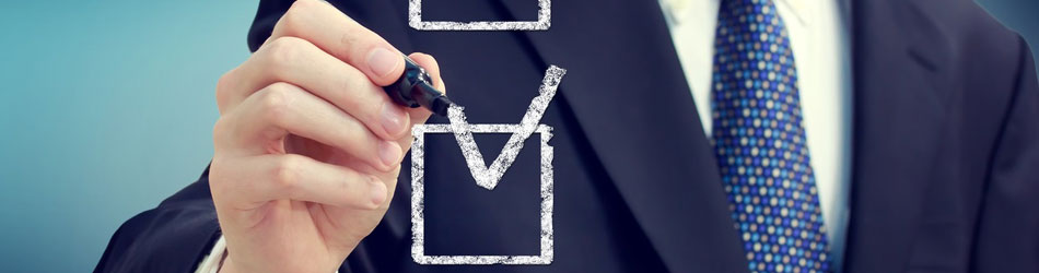 VCFO Services
